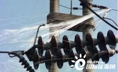 pg电子游戏试玩(中国)官方网站